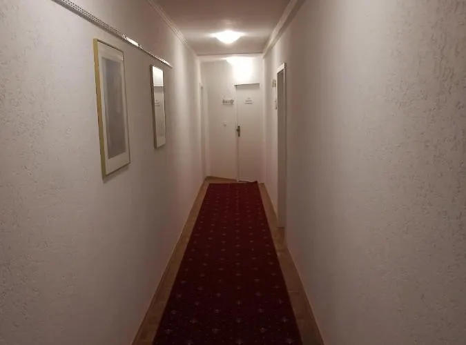 Froschkoenig * Gladenbach