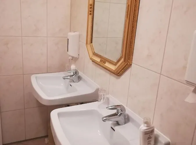 Froschkoenig Gladenbach